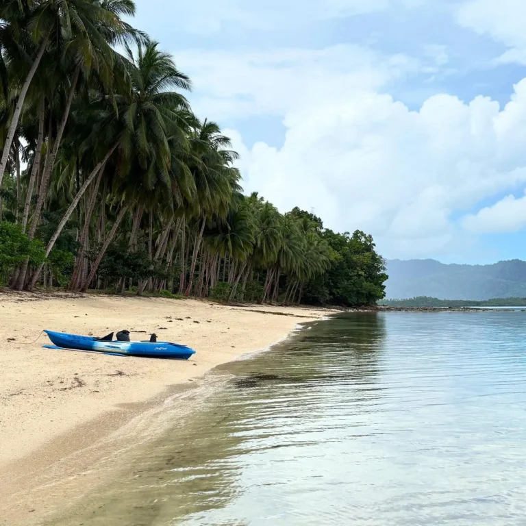 Coconut Beach — Port Barton, Palawan: a complete local guide