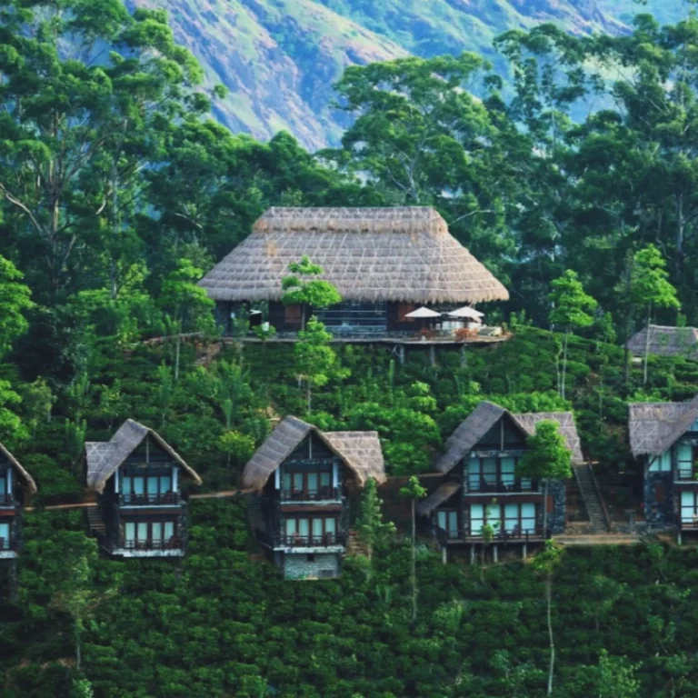 Discover the Serene Beauty of Ella, Sri Lanka: Your Ultimate Travel Guide