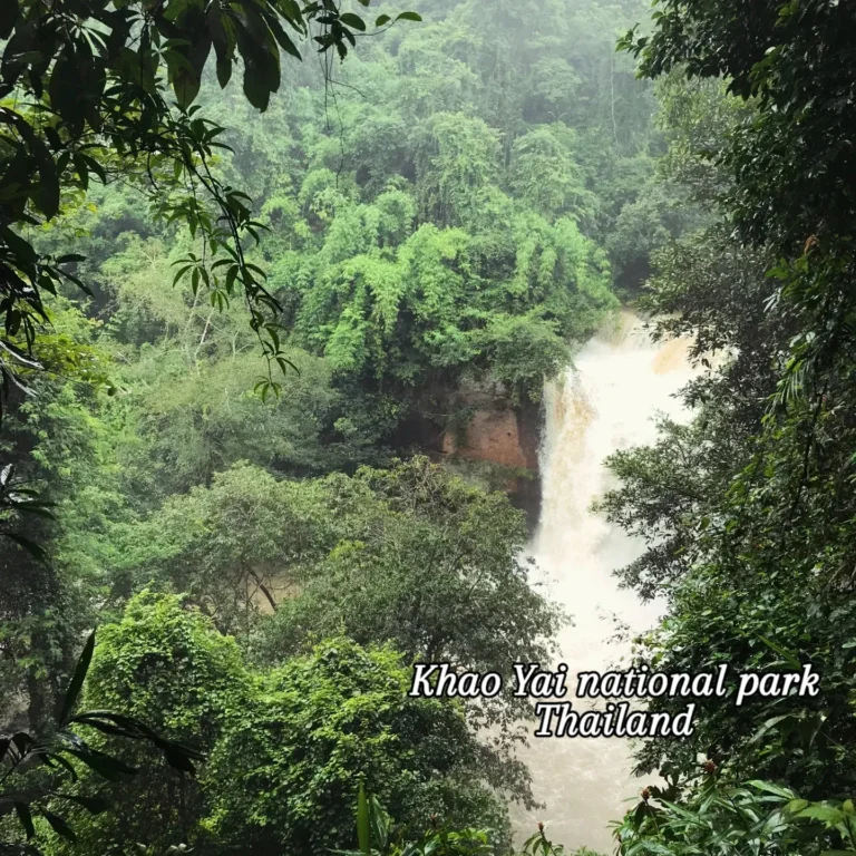 Discover the Hidden Wildlife Gems of Khao Yai National Park: An Eco-Travel Guide