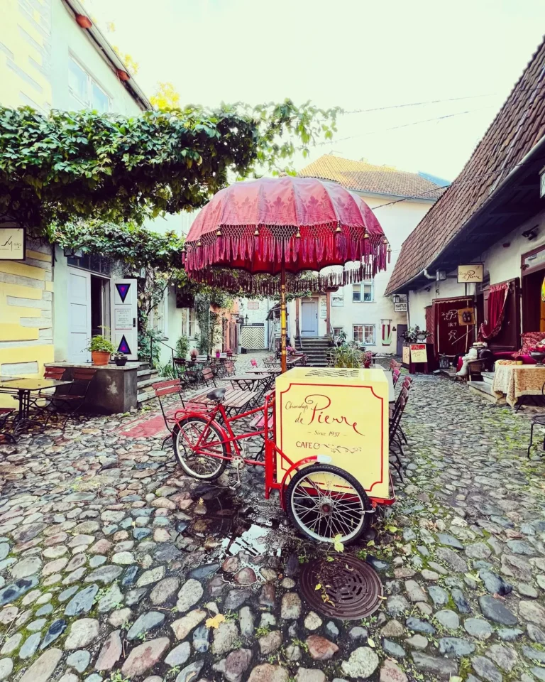 Estonia Travel Guide 2026: Complete Guide to Culture, Cities, Nature & Insider Tips