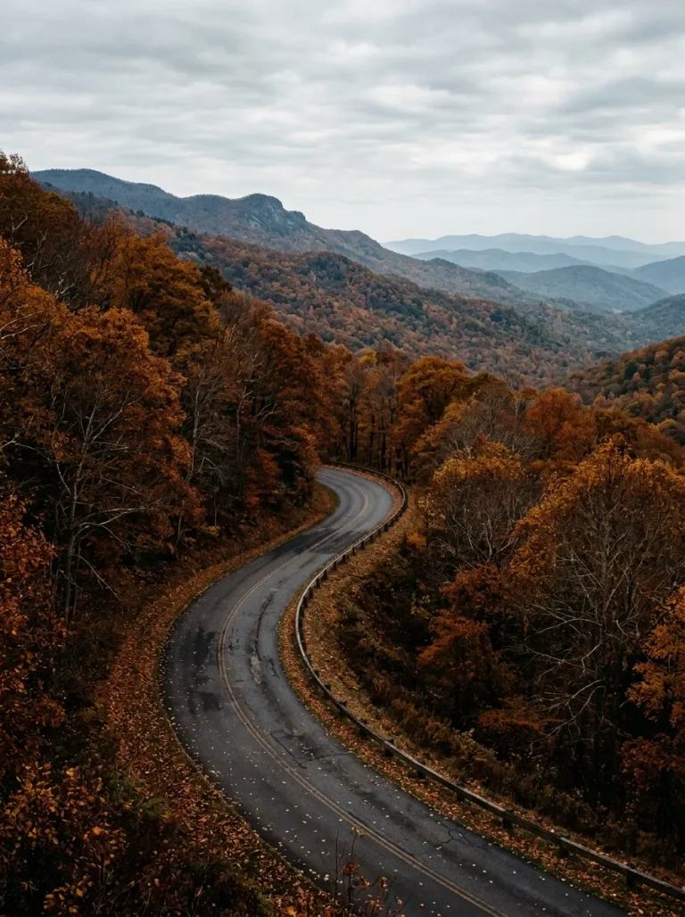 What Activities to Do in November: 15 Unforgettable Things to Experience This Month