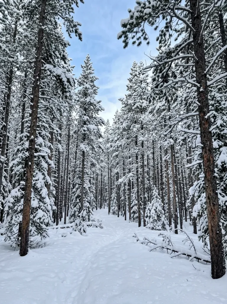 How to Prepare for Your First Winter Trip: Everything You Need to Know